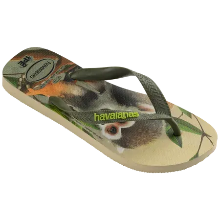 Havaianas Men IPE Flip Flops
