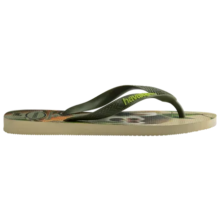 Havaianas Men IPE Flip Flops