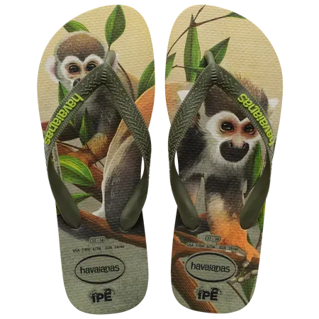 Havaianas Men IPE Flip Flops