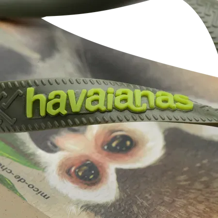 Havaianas Men IPE Flip Flops