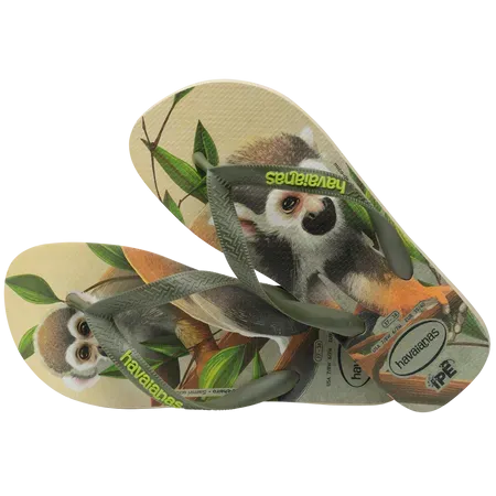 Havaianas Men IPE Flip Flops